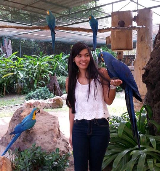 Macaws and other friendly Parrots